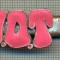 1306 NEW INSIGNA CU CLEMA - ARE INSCRIPTIA ,,H. O. T&quot; -starea care se vede