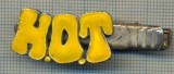1356 NEW INSIGNA CU CLEMA - ARE INSCRIPTIA ,,H. O. T&quot; -starea care se vede