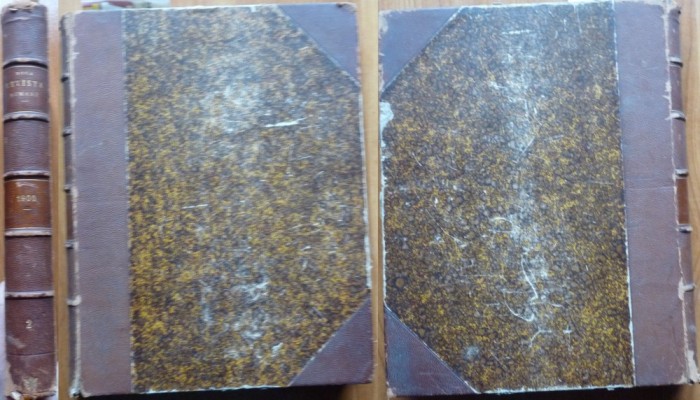 Noua Revista Romana, anul 1900 in volum, numerele 13 - 24, plus suplimentul