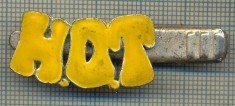 1318 NEW INSIGNA CU CLEMA - ARE INSCRIPTIA ,,H. O. T&quot; -starea care se vede