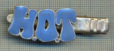 1313 NEW INSIGNA CU CLEMA - ARE INSCRIPTIA ,,H. O. T&quot; -starea care se vede