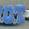 1313 NEW INSIGNA CU CLEMA - ARE INSCRIPTIA ,,H. O. T&quot; -starea care se vede