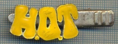 1337 NEW INSIGNA CU CLEMA - ARE INSCRIPTIA ,,H. O. T&amp;quot; -starea care se vede foto