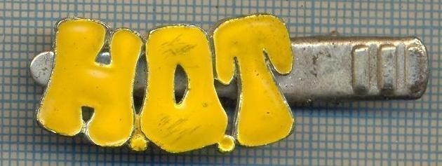 1337 NEW INSIGNA CU CLEMA - ARE INSCRIPTIA ,,H. O. T&quot; -starea care se vede