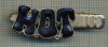 1346 NEW INSIGNA CU CLEMA - ARE INSCRIPTIA ,,H. O. T&quot; -starea care se vede