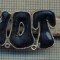 1346 NEW INSIGNA CU CLEMA - ARE INSCRIPTIA ,,H. O. T&quot; -starea care se vede