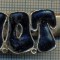 1343 NEW INSIGNA CU CLEMA - ARE INSCRIPTIA ,,H. O. T&quot; -starea care se vede