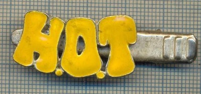 1315 NEW INSIGNA CU CLEMA - ARE INSCRIPTIA ,,H. O. T&amp;quot; -starea care se vede foto
