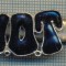 1336 NEW INSIGNA CU CLEMA - ARE INSCRIPTIA ,,H. O. T&quot; -starea care se vede