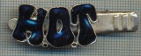 1334 NEW INSIGNA CU CLEMA - ARE INSCRIPTIA ,,H. O. T&quot; -starea care se vede