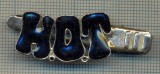 1351 NEW INSIGNA CU CLEMA - ARE INSCRIPTIA ,,H. O. T&quot; -starea care se vede