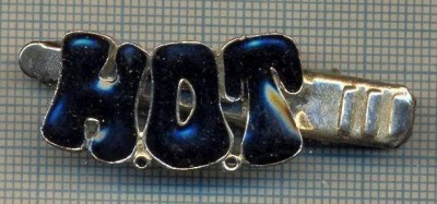 1351 NEW INSIGNA CU CLEMA - ARE INSCRIPTIA ,,H. O. T&amp;quot; -starea care se vede foto