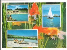 % carte postala (marca fixa)-CONSTANTA -LITORALUL