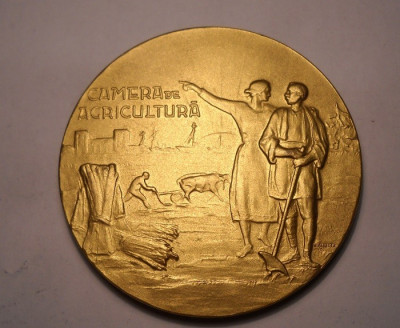 Medalie Expozitia Camerei de Agricultura Superba 2 foto