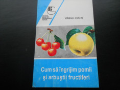 CUM SA INGRIJIM POMII SI ARBUSTII FRUCTIFERI - VASILE COCIU foto