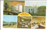 % carte postala (ilustrata)-IALOMITA -Amara