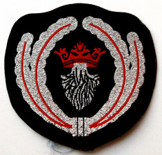 ROMANIA ECUSON MILITAR EMBLEMA SAPCA POLITIA LOCALA BRASOV, 67 x 65 mm ** foto