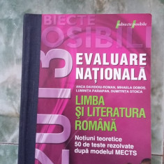 EVALUARE NATIONALA LIMBA SI LITERATURA ROMANA NOTIUNI TEORETICE .