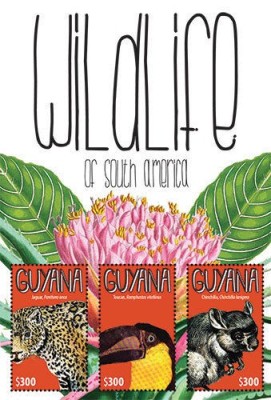 GRENADA 2012 FAUNA ANIMALE SALBATICE foto