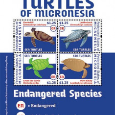 MICRONESIA 2012 BROASTE TESTOASE