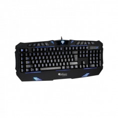 Tastatura Natec Genesis RX66 Gaming, neagra, USB foto