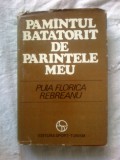 h3 Pamantul Batatorit De Parintele Meu - Puia Florica Rebreanu