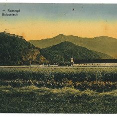 1140 - RASNOV, Brasov, Panorama - old postcard, CENSOR - used - 1918