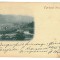 1681 - BRASOV, Panorama, Litho - old postcard - used - 1899