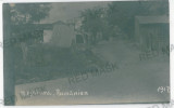 1154 - VARSATURA, Braila - old postcard, real PHOTO - used