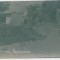 1154 - VARSATURA, Braila - old postcard, real PHOTO - used