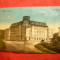 Ilustrata Govora - Hotel Palace ,interbelica , color ,Libr.Anastasiu si Petrescu