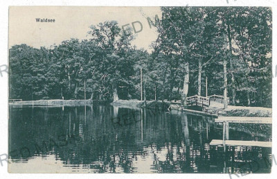 2479 - SIBIU, Dumbrava - old postcard, CENSOR - used - 1917 foto