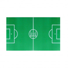 Teren de fotbal verde SARDI din carton pentru masa minifotbal 119,6x69cm foto