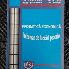 Cauti Lucrari De Licenta Informatica Economica Diverse Teme