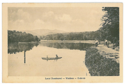3392 - SIBIU, Dumbrava, boat - old postcard - unused foto