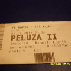 Bilet Rapid - CFR Cluj