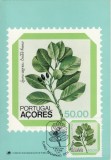 3498 - Carte maxima Azore 1981