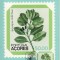 3498 - Carte maxima Azore 1981
