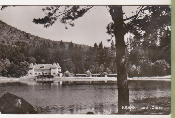 bnk cp Tusnad - Lacul Ciucas - uzata