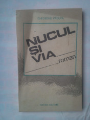 GHEORGHE VADUVA - NUCUL SI VIA foto