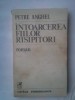 PETRE ANGHEL - INTOARCEREA FIILOR RISIPITORI, 1982