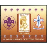 PERU 2002 SCOUTING, CERCETASI