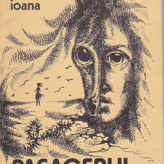 NICOLAE IOANA - PASAGERUL