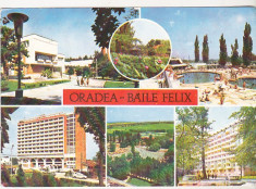 bnk cp Oradea - Baile Felix - circulata foto