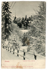 SINAIA CASTELUL PELES IARNA EDITURA G.MATEESCU CIRCULAT foto