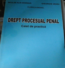 NICULAE ALIN DARANGA GH GRASU DREPT PROCESUAL PENAL, CAIET DE PRACTICA foto