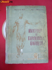 ANATOMIA SI FIZIOLOGIA OMULUI - I. C. PETRICU foto