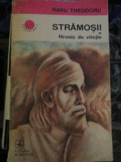 Stramosii Hronic de vitejie - Radu Theodoru foto