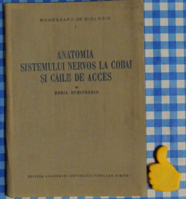 Anatomia sistemului nervos la cobai si caile de acces Horia Dumitrescu foto