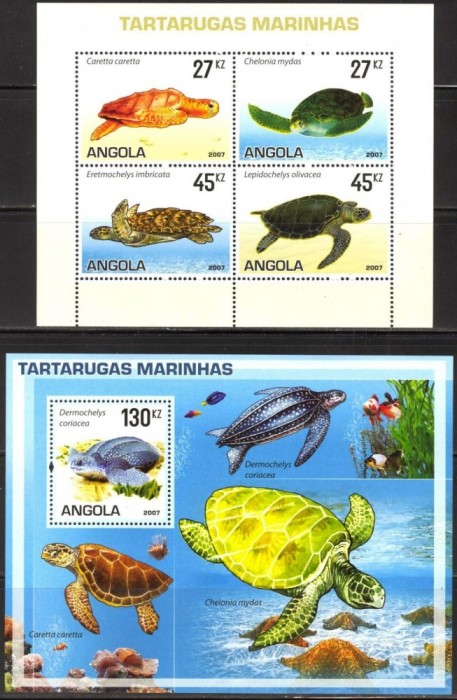 ANGOLA 2007 BROSTE TESTOASE